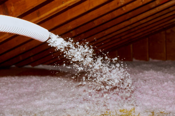 Best Commercial Insulation Contractor  in Albany, LA