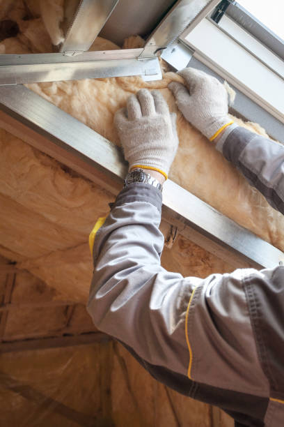 Best Crawl Space Insulation  in Albany, LA