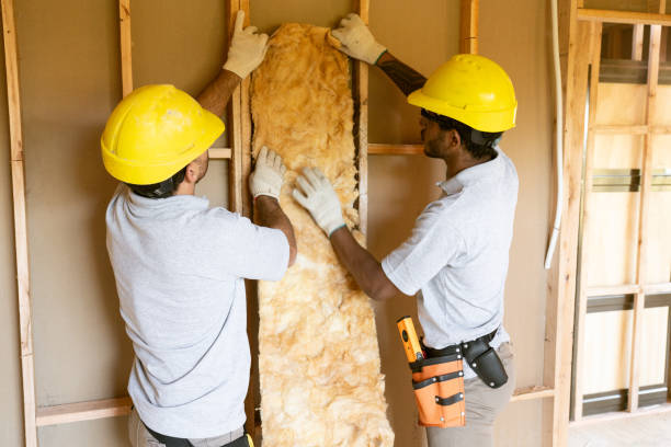 Best Residential Insulation Services  in Albany, LA