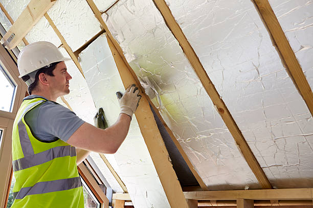 Best Insulation Replacement Services  in Albany, LA
